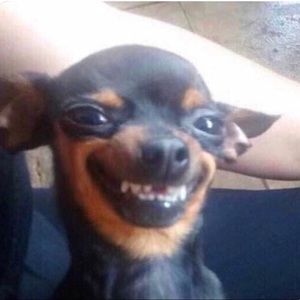 Meet your Posher, Daniel